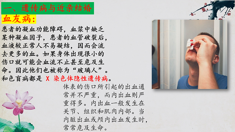 苏教版生物八年级下册 22.4遗传病和优生优育 课件07