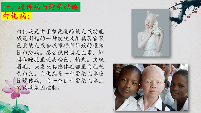 苏教版生物八年级下册 22.4遗传病和优生优育 课件08