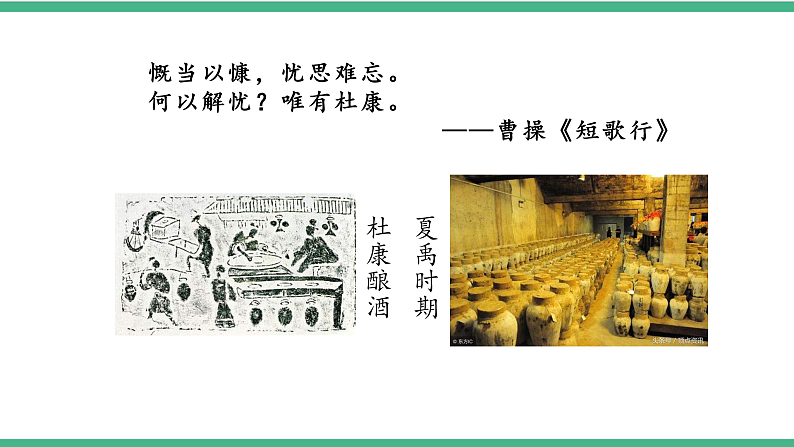 苏教版生物八年级下册 23.1源远流长的发酵技术 课件04