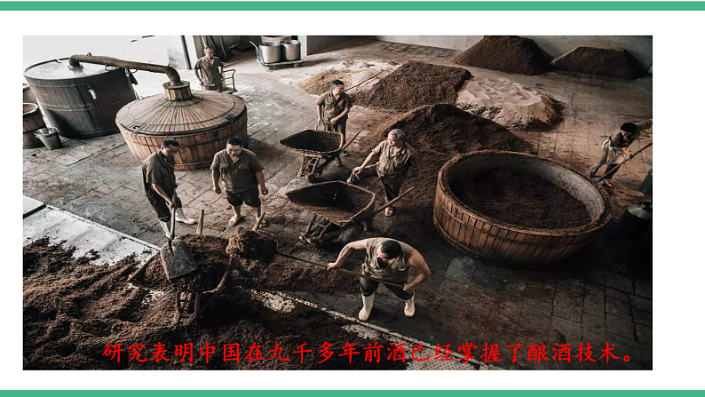 苏教版生物八年级下册 23.1源远流长的发酵技术 课件06