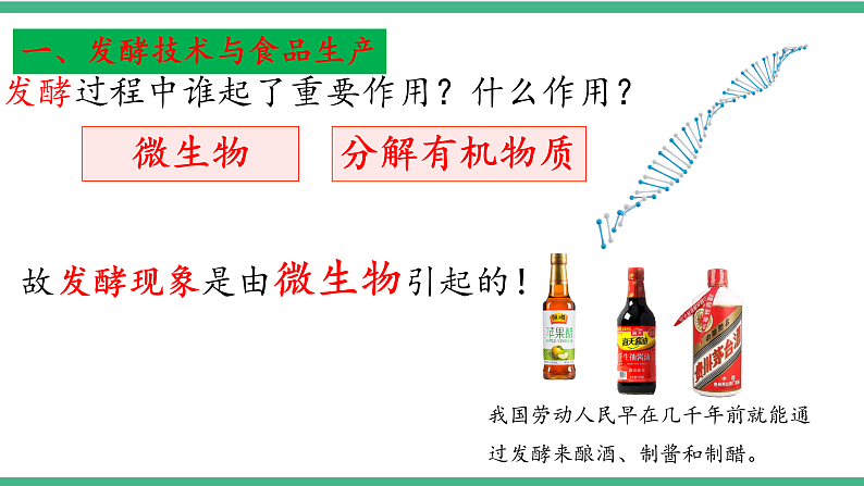 苏教版生物八年级下册 23.1源远流长的发酵技术 课件07