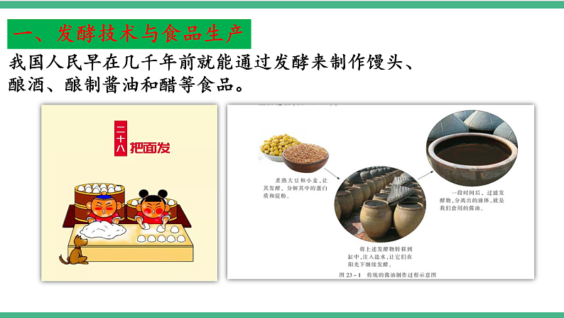 苏教版生物八年级下册 23.1源远流长的发酵技术 课件08