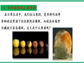苏教版生物八年级下册 23.2食品保存 课件