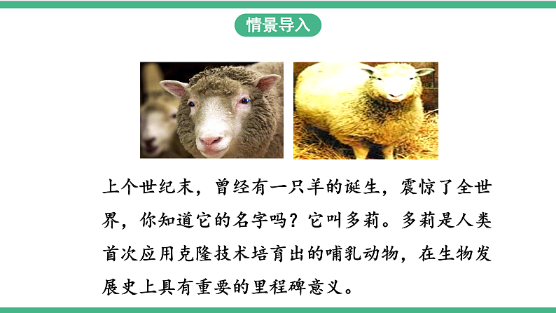 苏教版生物八年级下册 24.1 现代生物技术的应用  课件03