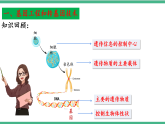 苏教版生物八年级下册 24.1 现代生物技术的应用  课件
