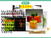 苏教版生物八年级下册 24.2 关注生物技术 课件