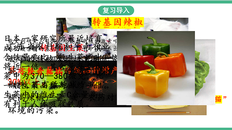 苏教版生物八年级下册 24.2 关注生物技术 课件03