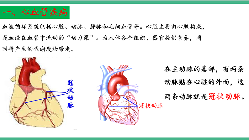 苏教版生物八年级下册 25.2威胁健康的主要疾病 课件06