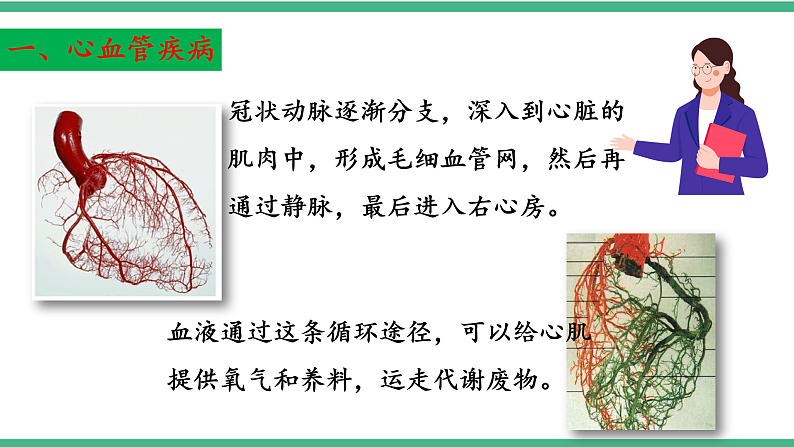 苏教版生物八年级下册 25.2威胁健康的主要疾病 课件07