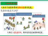 苏教版生物八年级下册 25.3 免疫 课件