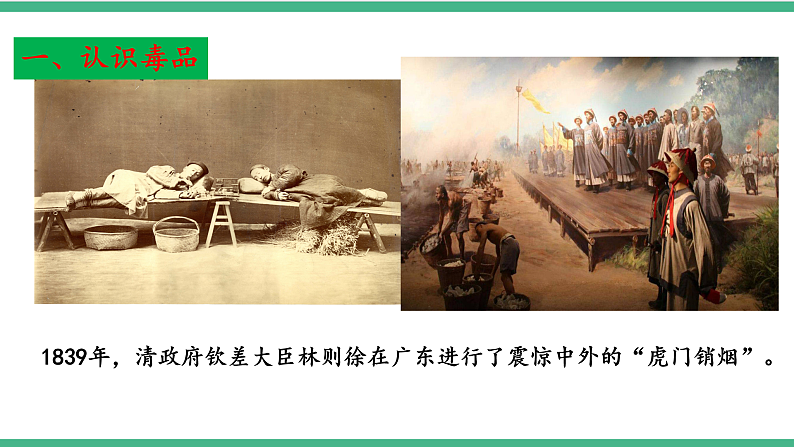 苏教版生物八年级下册 26.2 拒绝毒品  课件第5页