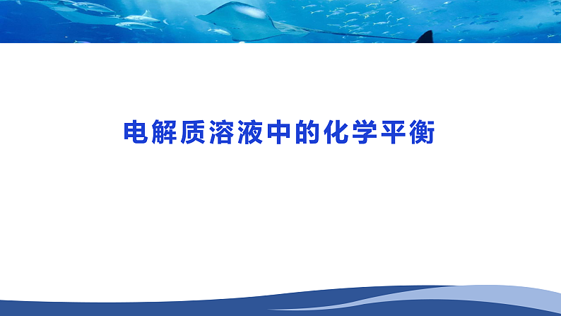 电解质溶液的化学平衡（基础班）课件  2024年化学奥林匹克竞赛01