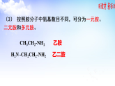 5.2胺酰胺 課件-2021-2022學年高二下學期化學蘇教版（2020）選擇性必修3