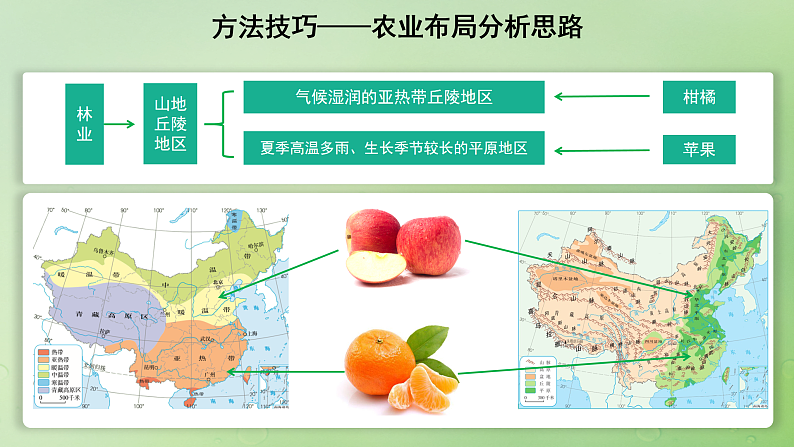 2024届湘教版新教材高考地理一轮复习第二部分人文地理第三章产业区位因素第1讲课时49农业布局课件第5页