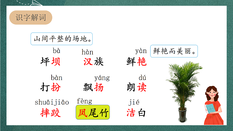 人教部编版语文三上1《大青树下的小学》 第1课时 课件+教案05