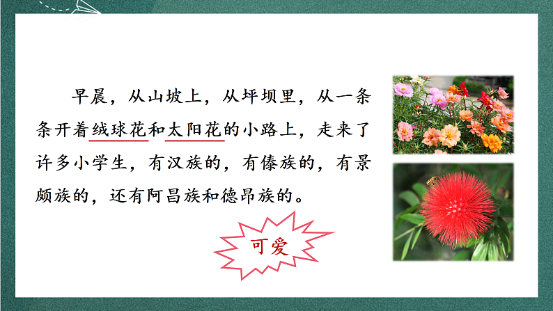 人教部编版语文三上1《大青树下的小学》 第2课时课件+教案06