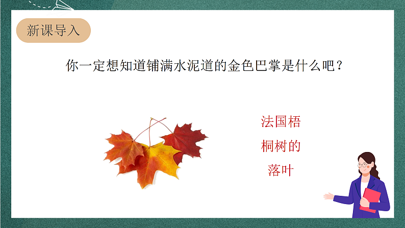 人教部编版语文三上5《铺满金色巴掌的水泥道》 第1课时 课件+教案03