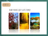 人教部编版语文三上6《秋天的雨》 第1课时 课件+教案