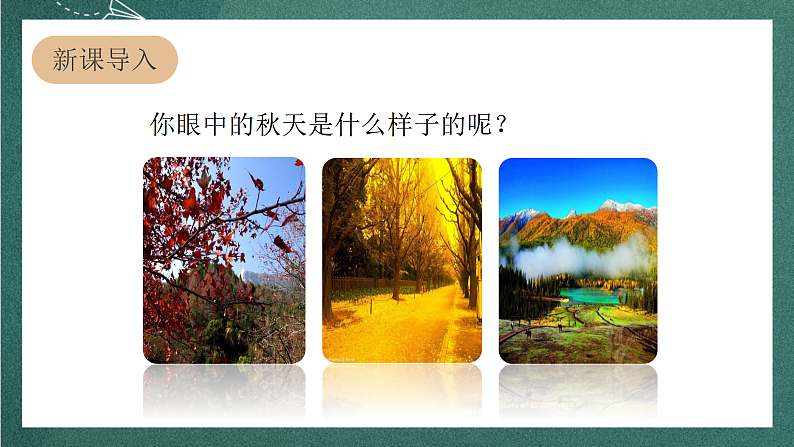 人教部编版语文三上6《秋天的雨》 第1课时 课件+教案02