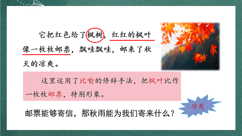 人教部编版语文三上6《秋天的雨》 第2课时 课件+教案07