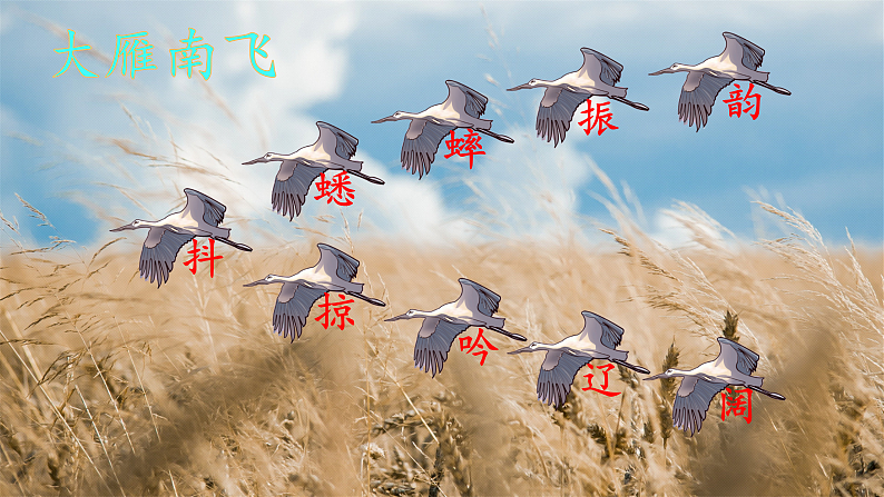 人教部编版语文三上7《听听，秋的声音》 课件+教案+音频素材06