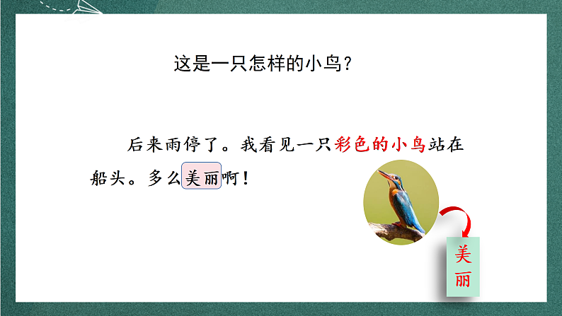 人教部编版语文三上15《搭船的鸟》 第2课时  课件+教案05