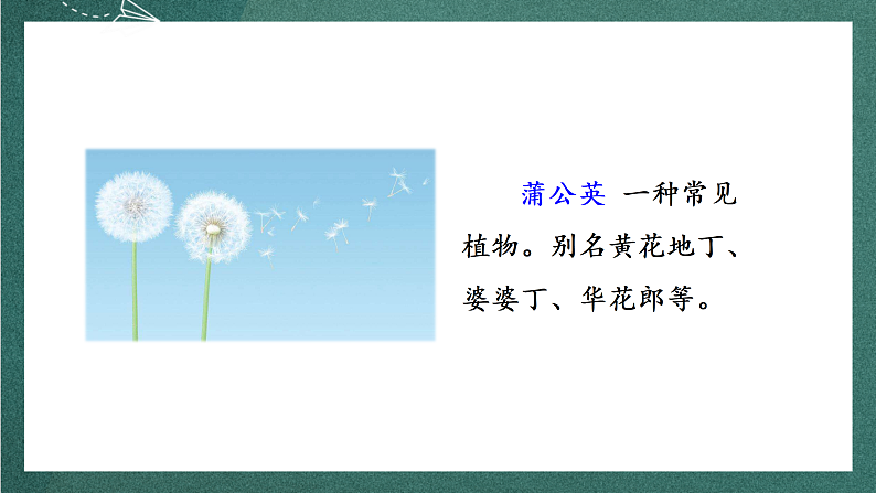 人教部编版语文三上16《金色的草地》 第1课时 课件+教案04