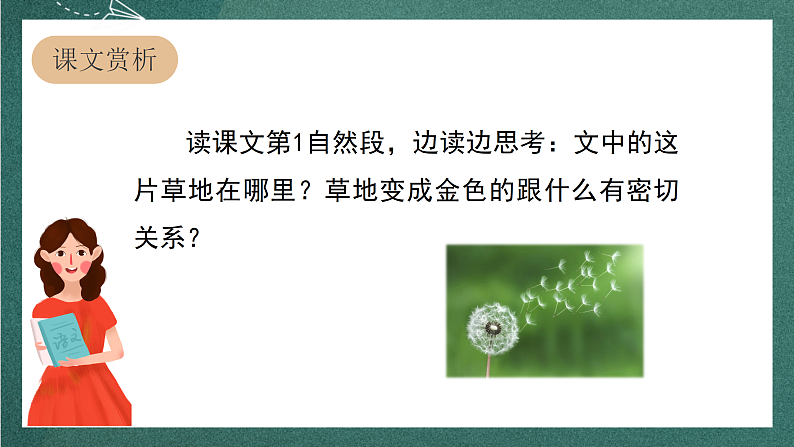 人教部编版语文三上16《金色的草地》 第2课时 课件+教案04
