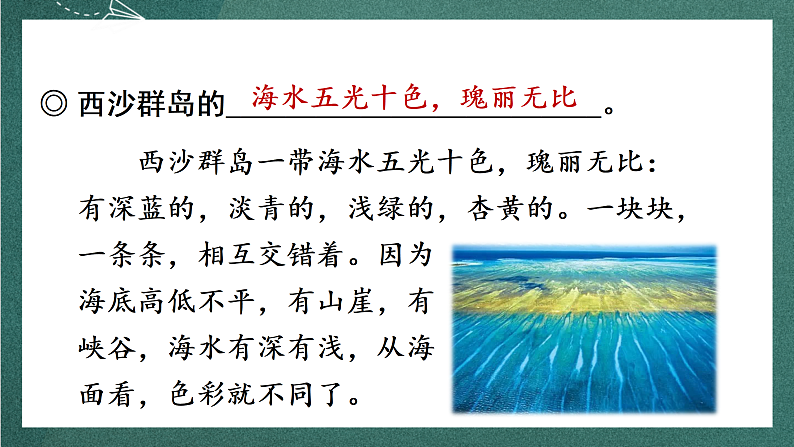 人教部编版语文三上18 《富饶的西沙群岛》 第2课时课件+教案07