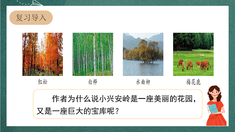 人教部编版语文三上20《美丽的小兴安岭》 第2课时 课件+教案03