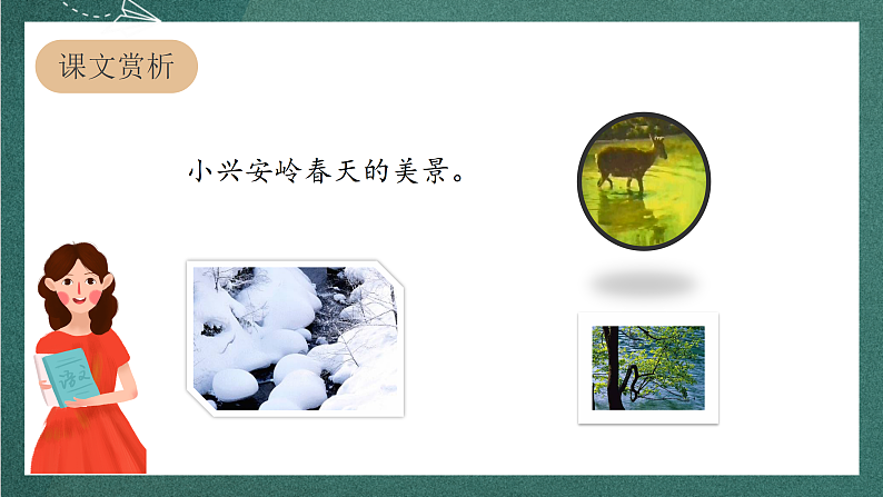 人教部编版语文三上20《美丽的小兴安岭》 第2课时 课件+教案04