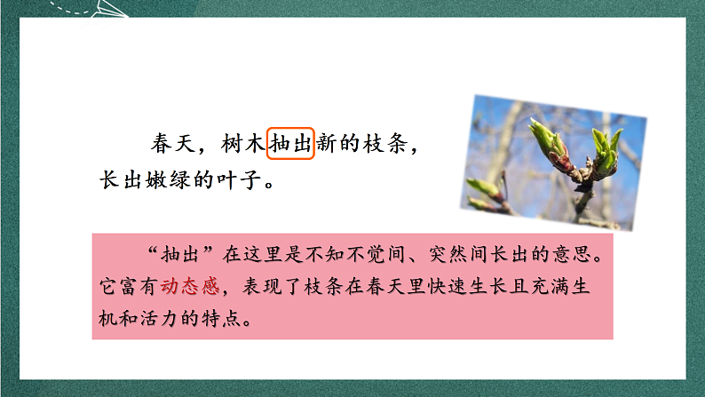 人教部编版语文三上20《美丽的小兴安岭》 第2课时 课件+教案05