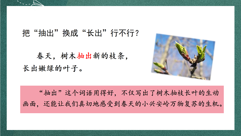 人教部编版语文三上20《美丽的小兴安岭》 第2课时 课件+教案06