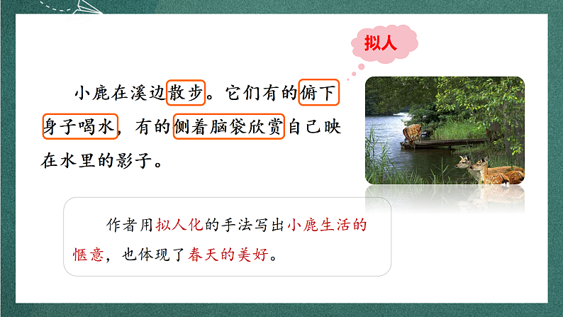 人教部编版语文三上20《美丽的小兴安岭》 第2课时 课件+教案08