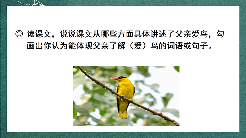人教部编版语文三上23《父亲、树林和鸟》 第2课时 课件+教案05