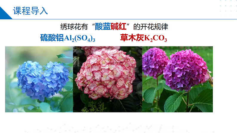 3.3.1盐类水解的原理（同步课件）-2023-2024学年高二化学同步精品课堂（苏教版2019选择性必修第一册）04