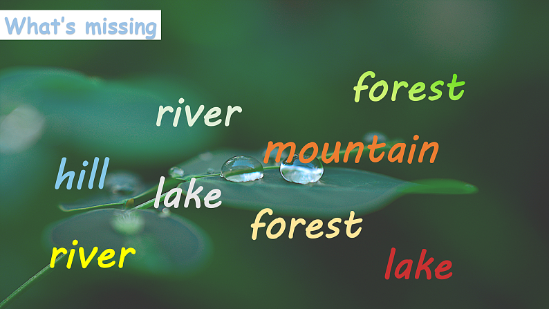 人教版（PEP）小学英语五上Unit6In a nature park PB第五课时课件+教案04