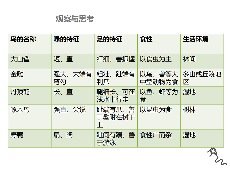 5.1.6鸟课件2024年初中秋季人教版生物八年级上册第8页
