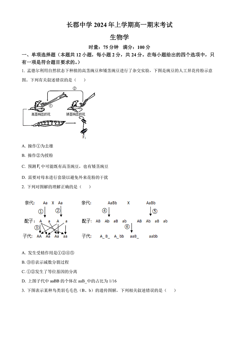 2024长沙长郡中学高一下学期期末考试生物试卷含解析01