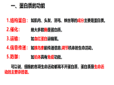 第4节 蛋白质是生命活动的主要承担者课件1