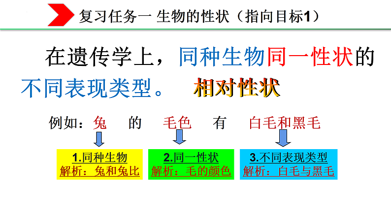 4.4.2性状的遗传课件 -2024年初中秋季济南版生物八年级上册06