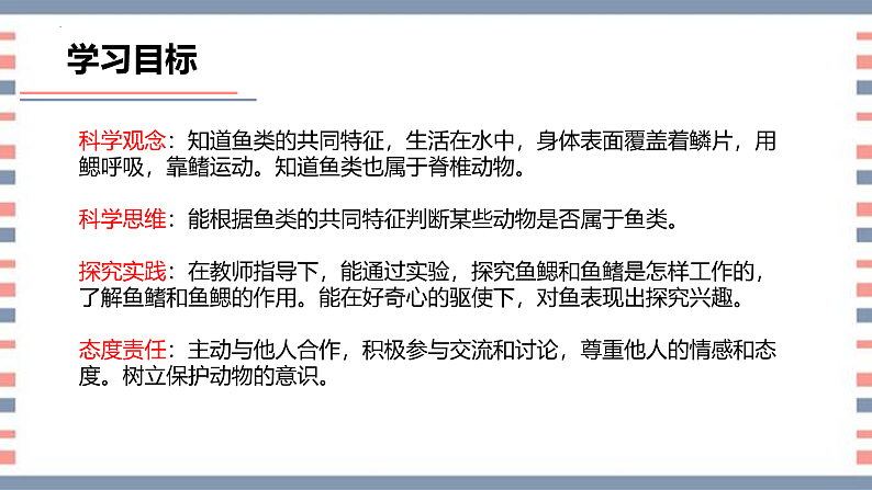 青岛版科学四年级上册 第2课 鱼（教学课件+同步教案）04