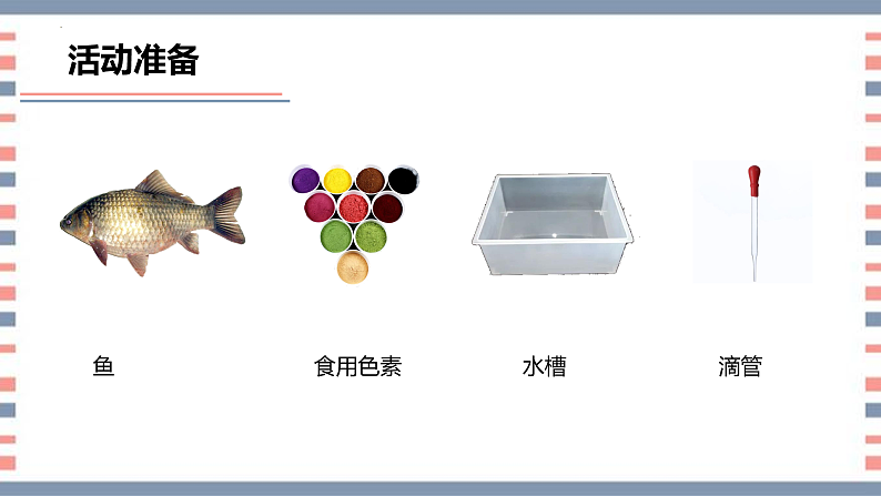 青岛版科学四年级上册 第2课 鱼（教学课件+同步教案）06