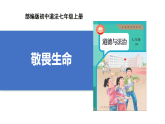 【公開課】道法人教版（2025）7上3.8.2《敬畏生命》課件+教學(xué)設(shè)計+學(xué)案（含答案解析）
