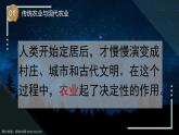苏教版科学六年级上册 第16课 人造肥料与现代农业（教学课件+同步教案）