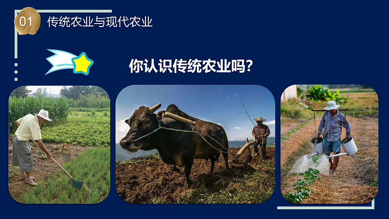 苏教版科学六年级上册 第16课 人造肥料与现代农业（教学课件+同步教案）05