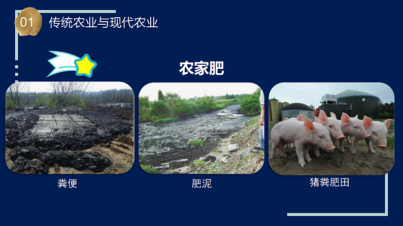 苏教版科学六年级上册 第16课 人造肥料与现代农业（教学课件+同步教案）06