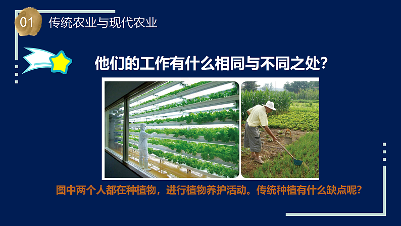 苏教版科学六年级上册 第16课 人造肥料与现代农业（教学课件+同步教案）07