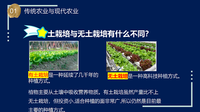 苏教版科学六年级上册 第16课 人造肥料与现代农业（教学课件+同步教案）08