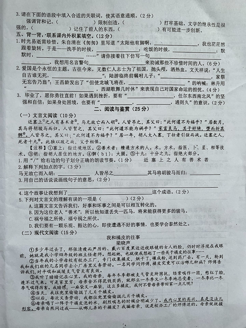 江西省萍乡市安源区2023-2024学年六年级下学期期末考试语文试题02